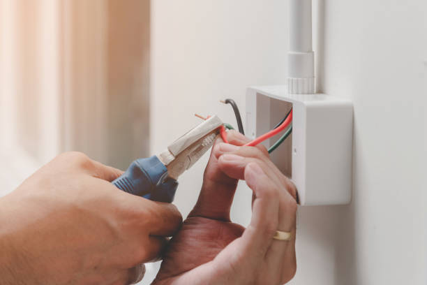 Best Electrical Maintenance Services  in Wayne, MI