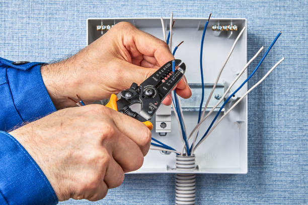 Best Surge Protection Installation  in Wayne, MI